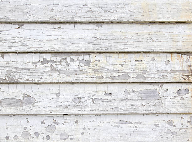 Best Composite Siding  in Great Falls, MT